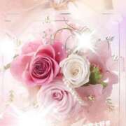 ヒメ日記 2025/04/24 18:09 投稿 新人ひかる3/1入店 優しい奥様 札幌すすきの店