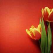 ヒメ日記 2025/04/13 12:24 投稿 まきこ 優しい奥様 札幌すすきの店