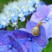 ヒメ日記 2025/05/25 12:04 投稿 まきこ 優しい奥様 札幌すすきの店