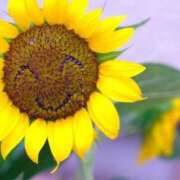 ヒメ日記 2025/06/25 12:44 投稿 まきこ 優しい奥様 札幌すすきの店