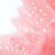 ヒメ日記 2025/08/17 15:04 投稿 まきこ 優しい奥様 札幌すすきの店