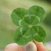 ヒメ日記 2025/08/30 15:04 投稿 まきこ 優しい奥様 札幌すすきの店