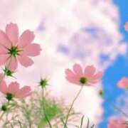 ヒメ日記 2025/09/16 19:04 投稿 まきこ 優しい奥様 札幌すすきの店