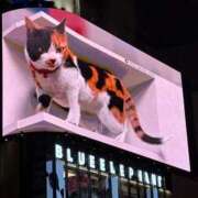 ヒメ日記 2025/12/09 22:04 投稿 まきこ 優しい奥様 札幌すすきの店