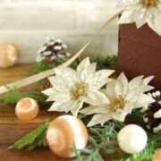 ヒメ日記 2025/12/19 13:54 投稿 まきこ 優しい奥様 札幌すすきの店