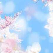 ヒメ日記 2025/04/15 12:06 投稿 みさと 優しい奥様 札幌すすきの店