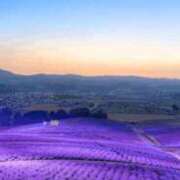 ヒメ日記 2025/07/24 20:54 投稿 みさと 優しい奥様 札幌すすきの店