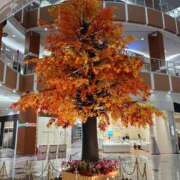 ヒメ日記 2025/09/18 20:44 投稿 みさと 優しい奥様 札幌すすきの店