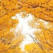 ヒメ日記 2025/10/12 15:04 投稿 みさと 優しい奥様 札幌すすきの店