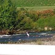 ヒメ日記 2026/03/11 08:34 投稿 みなみ 優しい奥様 札幌すすきの店