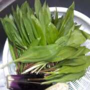 ヒメ日記 2026/03/14 21:54 投稿 みなみ 優しい奥様 札幌すすきの店