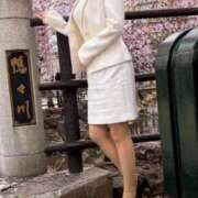 ヒメ日記 2026/05/07 11:24 投稿 みなみ 優しい奥様 札幌すすきの店