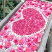 ヒメ日記 2025/05/02 13:45 投稿 ゆい 優しい奥様 札幌すすきの店