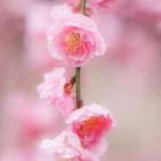 ヒメ日記 2025/05/06 09:44 投稿 ゆい 優しい奥様 札幌すすきの店