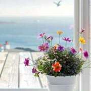 ヒメ日記 2025/04/12 08:29 投稿 ゆきの 優しい奥様 札幌すすきの店