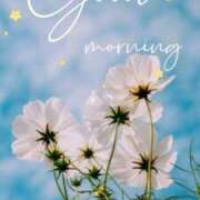 ヒメ日記 2025/10/08 07:14 投稿 ゆきの 優しい奥様 札幌すすきの店