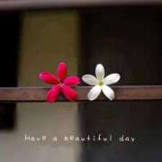 ヒメ日記 2025/10/12 10:14 投稿 ゆきの 優しい奥様 札幌すすきの店