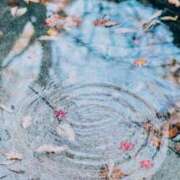 ヒメ日記 2025/10/18 11:04 投稿 ゆきの 優しい奥様 札幌すすきの店