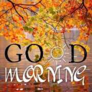 ヒメ日記 2025/10/27 07:24 投稿 ゆきの 優しい奥様 札幌すすきの店