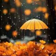 ヒメ日記 2025/11/01 11:04 投稿 ゆきの 優しい奥様 札幌すすきの店