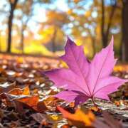 ヒメ日記 2025/11/04 10:14 投稿 ゆきの 優しい奥様 札幌すすきの店