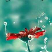 ヒメ日記 2025/11/05 07:24 投稿 ゆきの 優しい奥様 札幌すすきの店