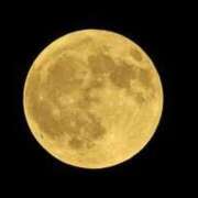 ヒメ日記 2025/11/05 12:24 投稿 ゆきの 優しい奥様 札幌すすきの店