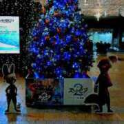 ヒメ日記 2025/11/22 08:04 投稿 ゆきの 優しい奥様 札幌すすきの店