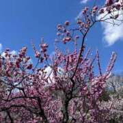 ヒメ日記 2025/05/04 10:54 投稿 よしこ【未経験入店】 優しい奥様 札幌すすきの店