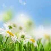 ヒメ日記 2025/06/08 22:14 投稿 よしこ【未経験入店】 優しい奥様 札幌すすきの店