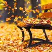 ヒメ日記 2025/10/20 23:14 投稿 よしこ【未経験入店】 優しい奥様 札幌すすきの店