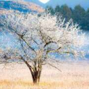 ヒメ日記 2025/11/22 20:04 投稿 よしこ【未経験入店】 優しい奥様 札幌すすきの店