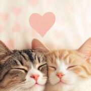 ヒメ日記 2025/04/27 13:05 投稿 りな【未経験】 優しい奥様 札幌すすきの店