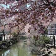 りな【未経験】 出勤をあげました♡ 優しい奥様 札幌すすきの店