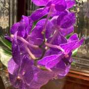 ヒメ日記 2025/06/18 18:51 投稿 君島まりあ 五十路マダムエクスプレス豊橋店（カサブランカグループ）