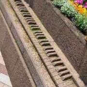 ヒメ日記 2025/10/14 23:22 投稿 君島まりあ 五十路マダムエクスプレス豊橋店（カサブランカグループ）