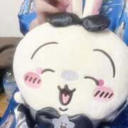 ヒメ日記 2025/05/30 19:11 投稿 こよみ いざ候 本館