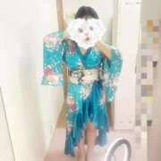 ヒメ日記 2025/05/31 13:07 投稿 こよみ いざ候 本館