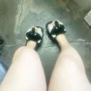 ヒメ日記 2025/06/11 15:27 投稿 こよみ いざ候 本館