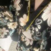 ヒメ日記 2025/06/12 00:11 投稿 こよみ いざ候 本館