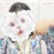 ヒメ日記 2025/06/16 18:27 投稿 こよみ いざ候 本館