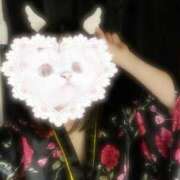 ヒメ日記 2025/06/18 21:27 投稿 こよみ いざ候 本館