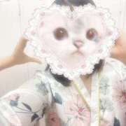 ヒメ日記 2025/07/24 03:57 投稿 こよみ いざ候 本館