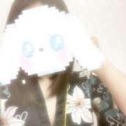 ヒメ日記 2025/08/24 17:17 投稿 こよみ いざ候 本館