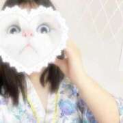 ヒメ日記 2025/09/29 01:17 投稿 こよみ いざ候 本館