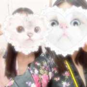 ヒメ日記 2025/10/31 21:19 投稿 こよみ いざ候 本館