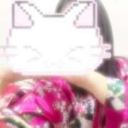 ヒメ日記 2025/11/24 19:06 投稿 こよみ いざ候 本館