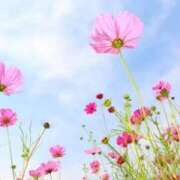 ヒメ日記 2025/10/20 08:24 投稿 智美(ともみ) PLUS梅田店