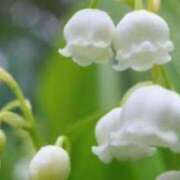 ヒメ日記 2025/05/02 16:48 投稿 こはる 奥鉄オクテツ神奈川店（デリヘル市場グループ）