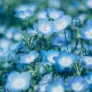 ヒメ日記 2025/05/25 11:13 投稿 こはる 奥鉄オクテツ神奈川店（デリヘル市場グループ）